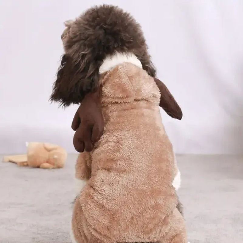 Dog Coats, Seasonal Pet Outfits for Canines
