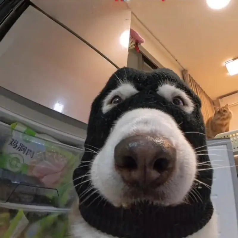 1Pc/Dog Halloween Christmas Costume Dog Ear Muffs Noise Protection Dog Ear Warm Hat Dog Robber and Thief Mask Fun Pet Role-Play Suitable for Medium Large Dogs (Black Mask) All Seasons Universal Funny Prop with Elastic Material