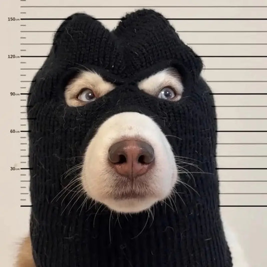 1Pc/Dog Halloween Christmas Costume Dog Ear Muffs Noise Protection Dog Ear Warm Hat Dog Robber and Thief Mask Fun Pet Role-Play Suitable for Medium Large Dogs (Black Mask) All Seasons Universal Funny Prop with Elastic Material