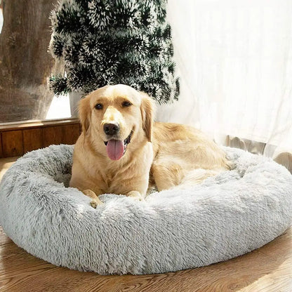 Donut-Kuschelbett – der flauschige Lieblingsplatz für deinen Hund