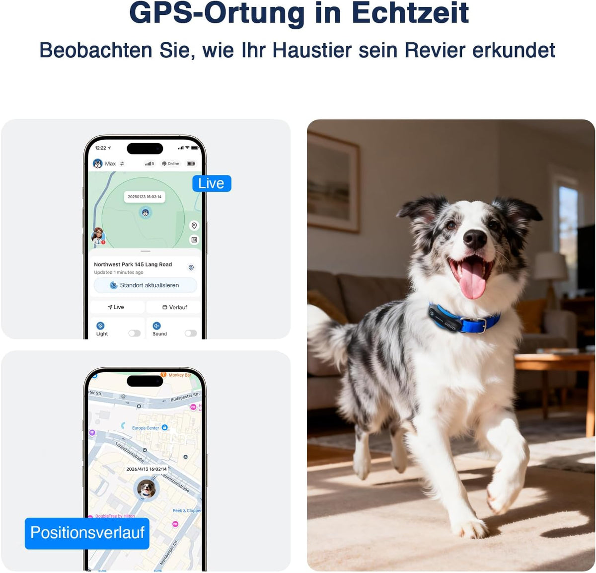 GPS-Tracker für Hunde – Live-Ortung, virtueller Zaun & Aktivitätsanalyse