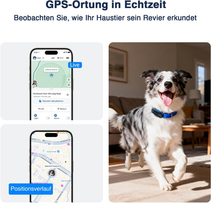 GPS-Tracker für Hunde – Live-Ortung, virtueller Zaun & Aktivitätsanalyse