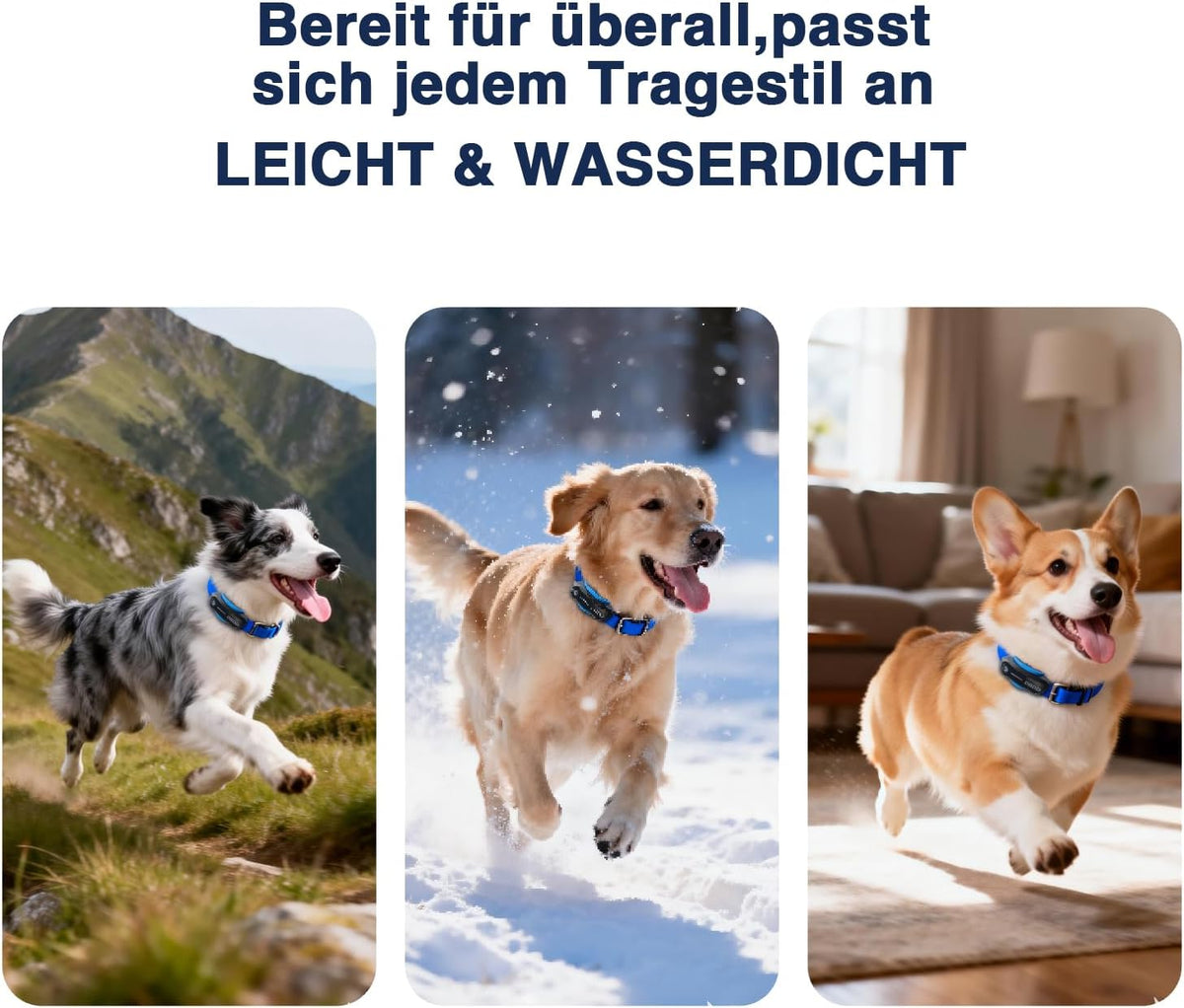 GPS-Tracker für Hunde – Live-Ortung, virtueller Zaun & Aktivitätsanalyse