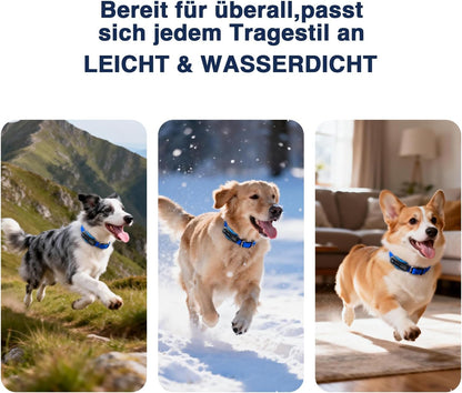 GPS-Tracker für Hunde – Live-Ortung, virtueller Zaun & Aktivitätsanalyse