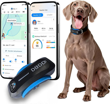 GPS-Tracker für Hunde – Live-Ortung, virtueller Zaun & Aktivitätsanalyse