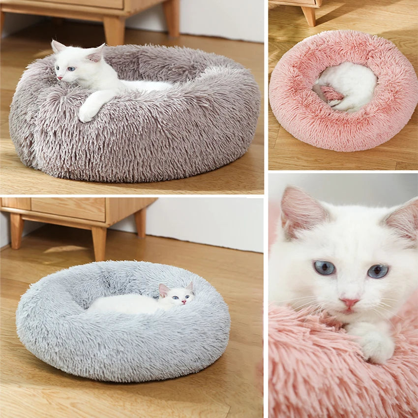Donut-Kuschelbett – der flauschige Lieblingsplatz für deinen Hund