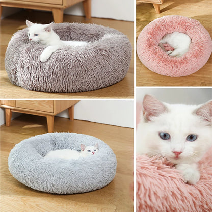Donut-Kuschelbett – der flauschige Lieblingsplatz für deinen Hund