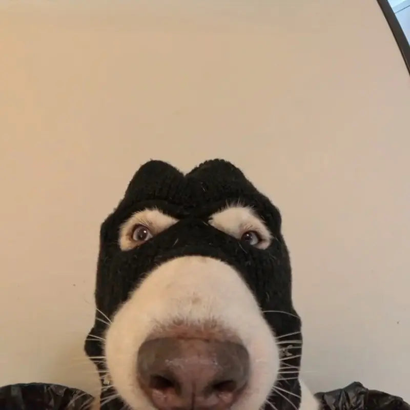 1Pc/Dog Halloween Christmas Costume Dog Ear Muffs Noise Protection Dog Ear Warm Hat Dog Robber and Thief Mask Fun Pet Role-Play Suitable for Medium Large Dogs (Black Mask) All Seasons Universal Funny Prop with Elastic Material