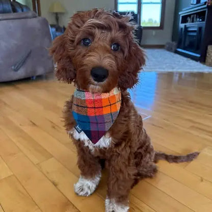 Plaid Scrunchie Dog Bandana, Handmade Stretchy Elastic Pet Bandana, Double Layer Durable Cotton Flannel Bandana for Small, Medium and Large Dogs, Gift for Dog, Made in the USA